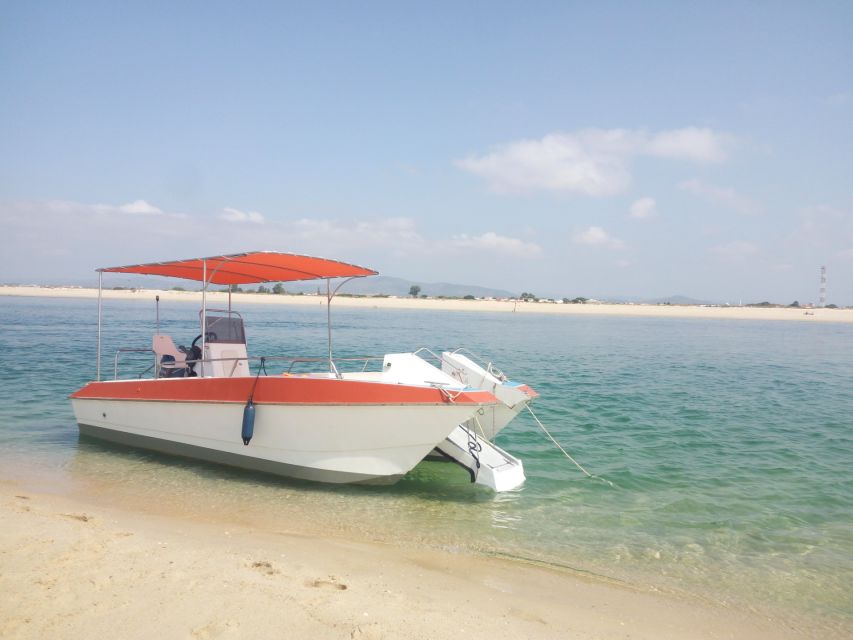 Boat Tour in Ria Formosa 5H - Customer Reviews