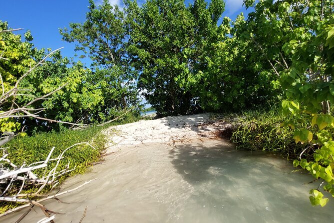 Boat Trip Visit Mangroves, Islets and Lagoon - Cancellation Policy and Restrictions