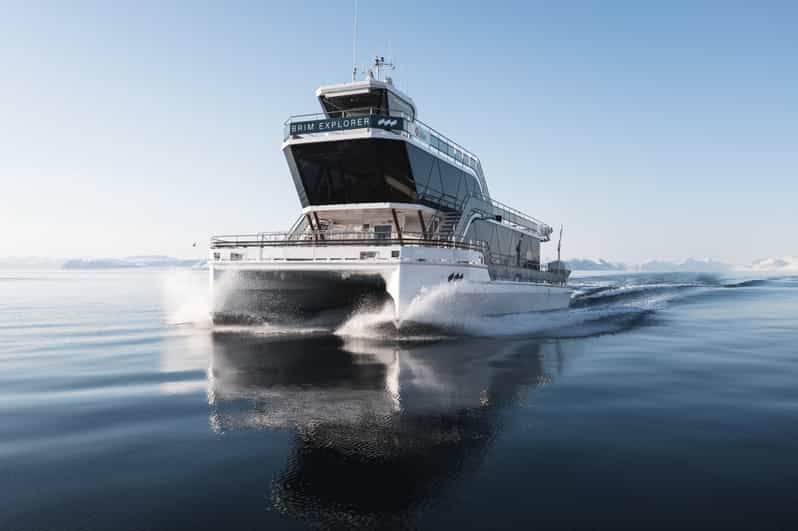 Bodø: Northern Lights Cruise - Meeting Point and Departure