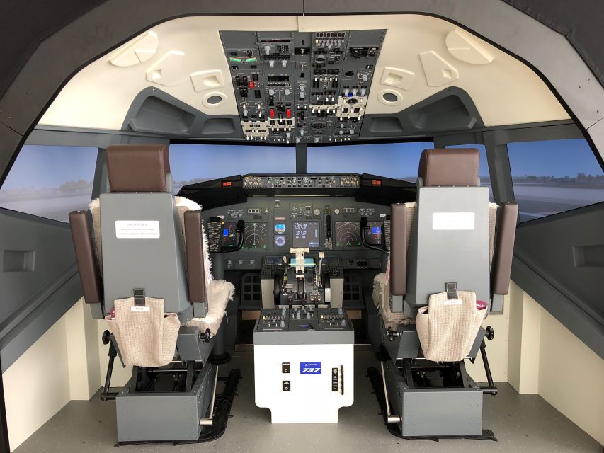 Boeing 737-800 Professional Simulator - 30 Minutes - Key Points