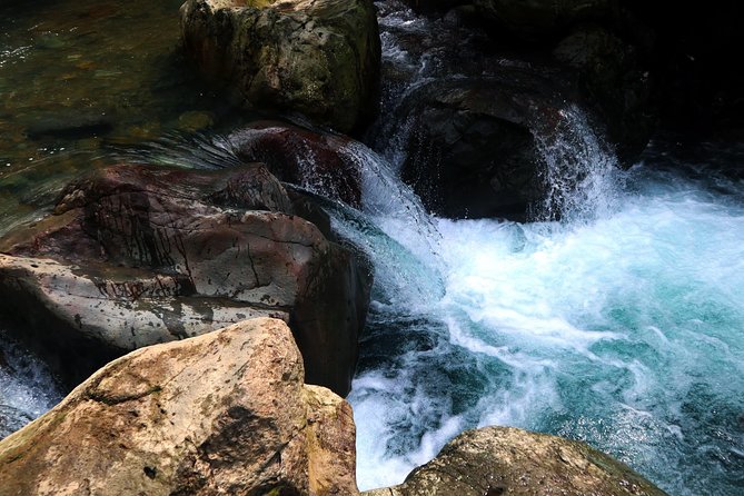 Bogor Botanical Garden, Waterfall, Mountain Springs & Rice Field - Waterfall and Mountain Springs