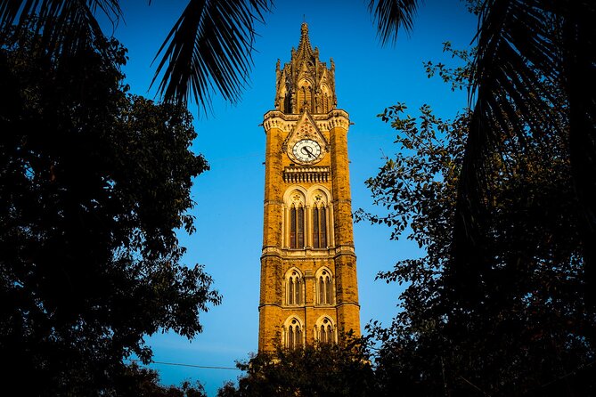 Bombay Fort Heritage Walking Tour - Reviews and Feedback