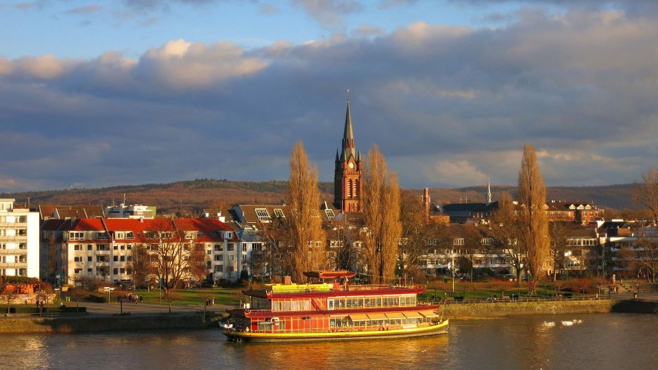 Bonn: Private Guided Walking Tour - Scenic Views of Sieben Mountains