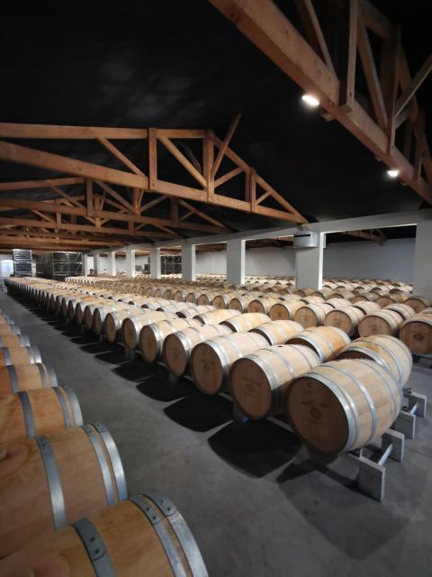 Bordeaux : Full Day Wine Tastings & Lunch - What to Bring