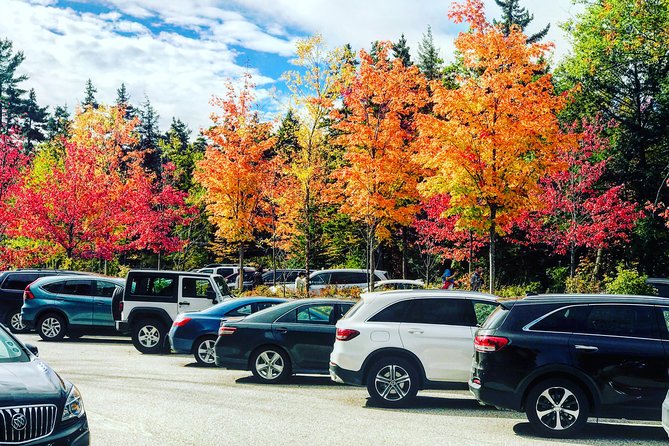 Boston to New Hampshire Fall Foliage White Mountains Day Trip - Traveler Reviews and Experiences