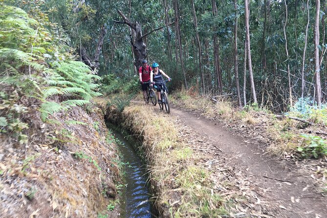Botanical Trails of Madeira. Mountain Biking Trail Experience - Trail Experience for All Levels