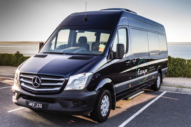 Boutique All-Inclusive Great Ocean Road, 12 Apostles and Rainforest Experience - Accessibility Options