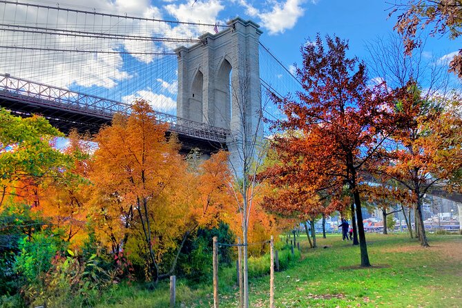 Brooklyn Bridge Waterfront Guided Bike Tour - Accessibility Information