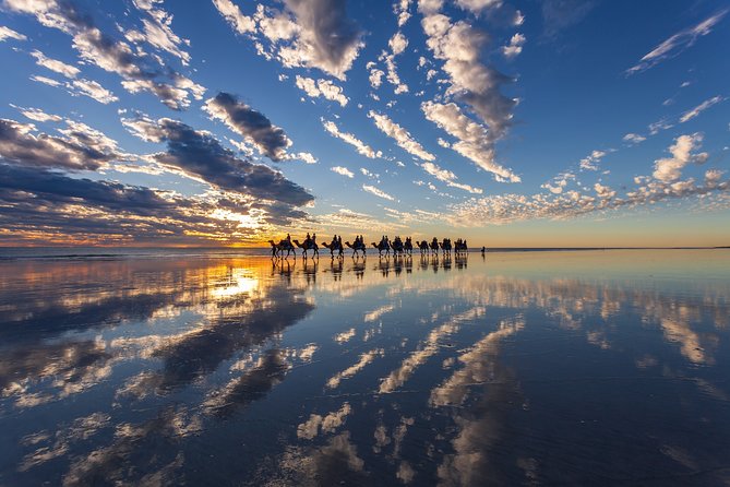 Broome Pre-Sunset Camel Tour 30 Minutes - Tips for a Great Experience