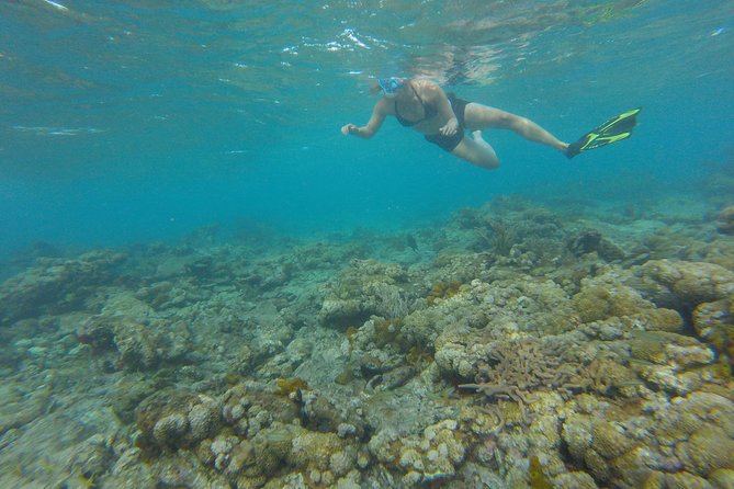 Buccoo Reef and Nylon Pool Adventure - Booking Details and Pricing