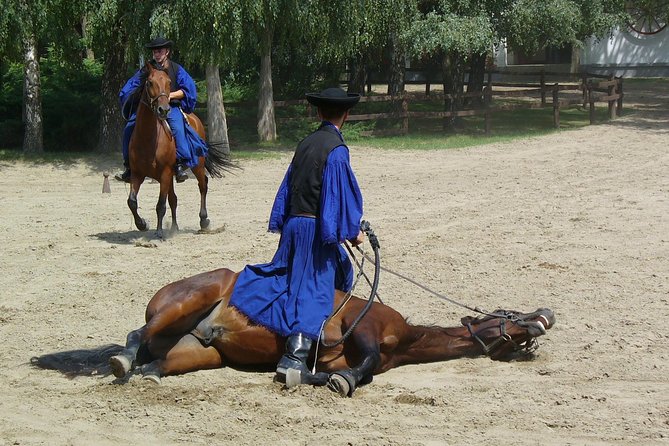Budapest Puszta Day Trip to Kecskemet Icluding Horse Show & Lunch - Dining Options