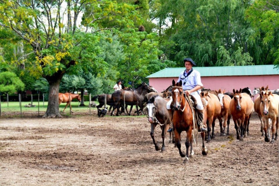 Buenos Aires: Santa Susana Ranch Day Tour, BBQ & Shows - Gaucho Activities and Skills