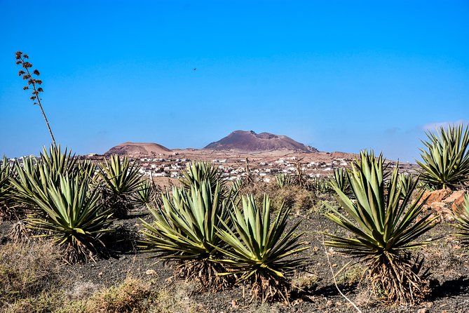 Buggy Fuerteventura Off-Road Excursions - Stopping at Coastal Villages