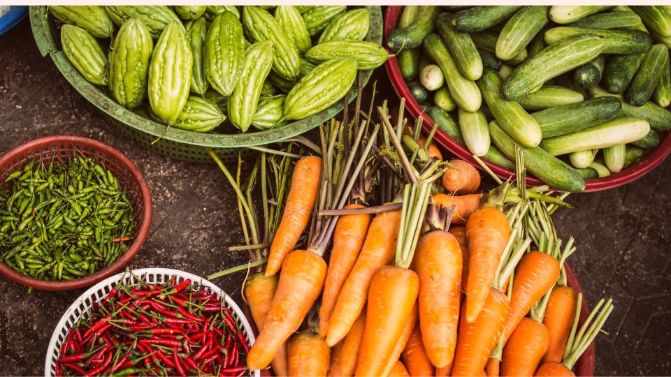 Bujra: Farm to Table at a Zen Eco-Farm Amidst The Aravallis - Farm Life Insights