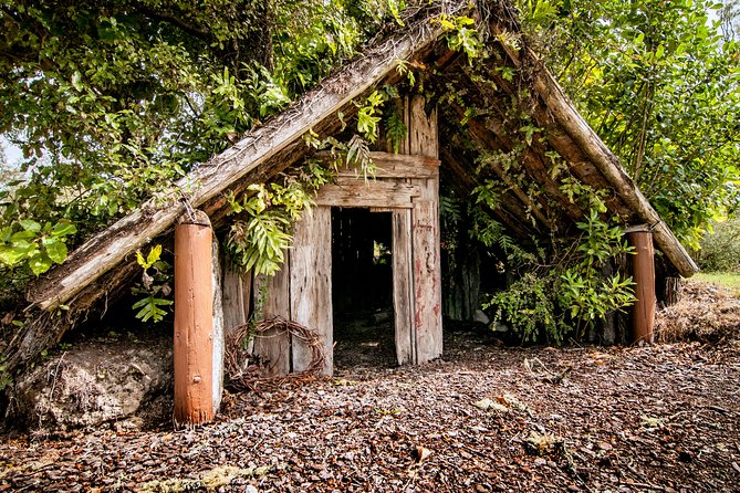 Buried Village of Te Wairoa - Visitor Reviews and Experiences