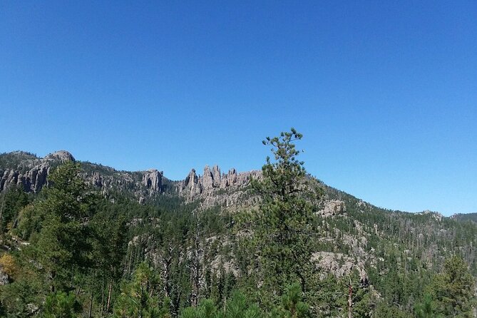 Bus Tour of Mount Rushmore and the Black Hills - Review Insights