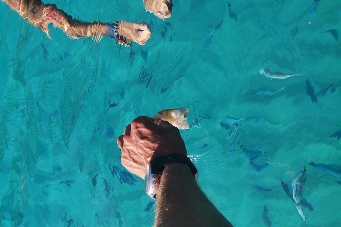By Boat Between the Sea and the Most Beautiful Beaches! Capo Vaticano - Tropea - Briatico - Tour Pricing