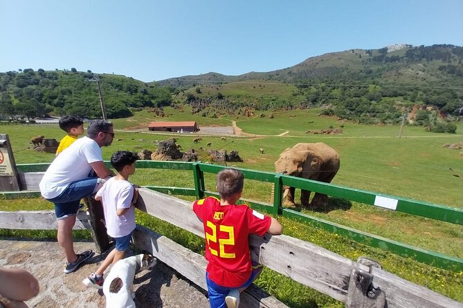 Cabarceno Natural Park Visit - Animal Demonstrations