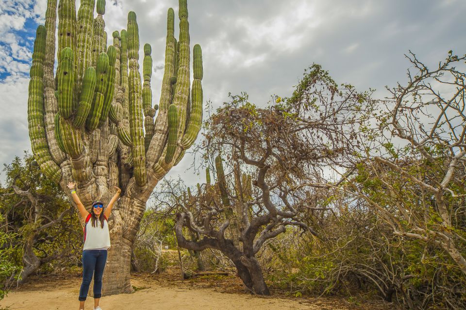 Cabo San Lucas: Camel Safari Tour With Lunch and Tequila - Flexible Cancellation Policy