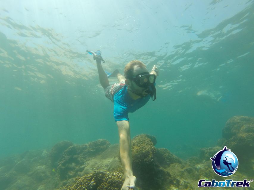 Cabo San Lucas Private and Shared Snorkeling Tour - Snorkeling Equipment Provided