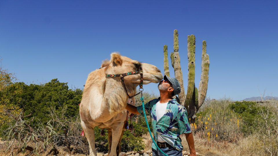 Cabo: Whole Santos Tour With Camel Ranch, Tequila and Lunch - Tequila and Mezcal Tasting