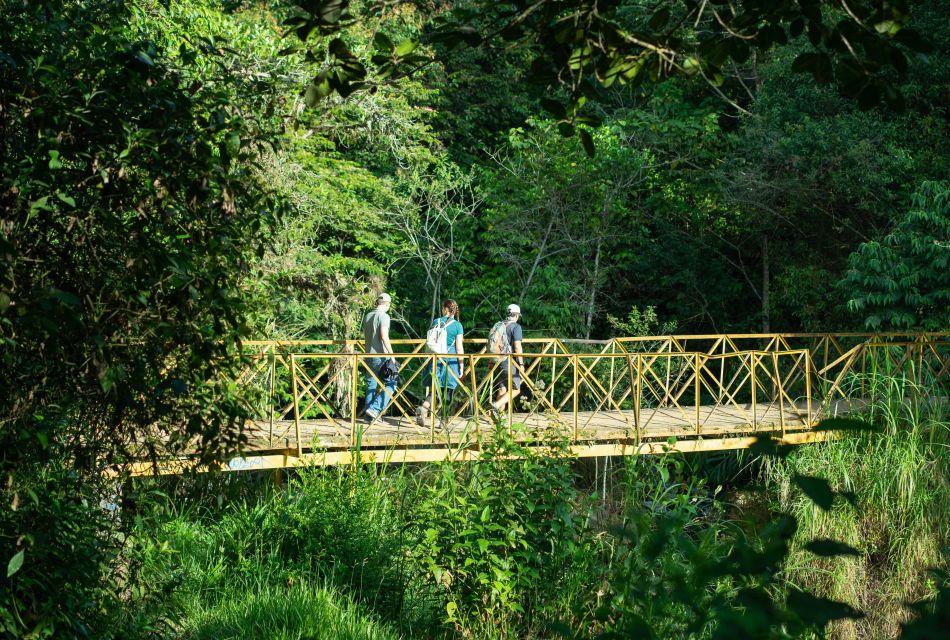 Cali: Hiking to the Pance Waterfalls - Safety Restrictions