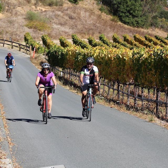 Calistoga: Napa Valley Cycling and Winery Tour With Picnic - Possible Wineries Visited