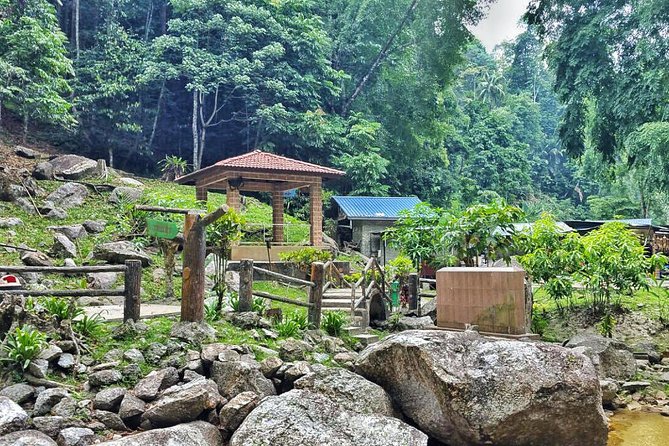 Cameron Highlands Day Tour From Kuala Lumpur With Lunch (Sic - Shared Tours) - Visiting the Butterfly Farm