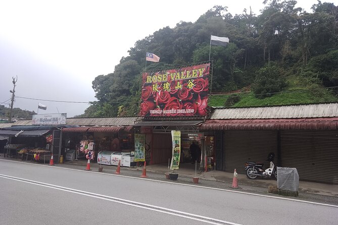 Cameron Highlands Day Trip - Travel Tips and Recommendations