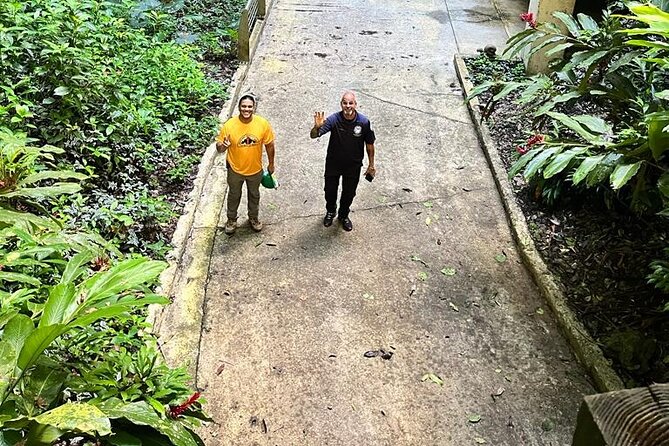 Camuy Caves Experience Tour With Transportation - Health and Safety Guidelines