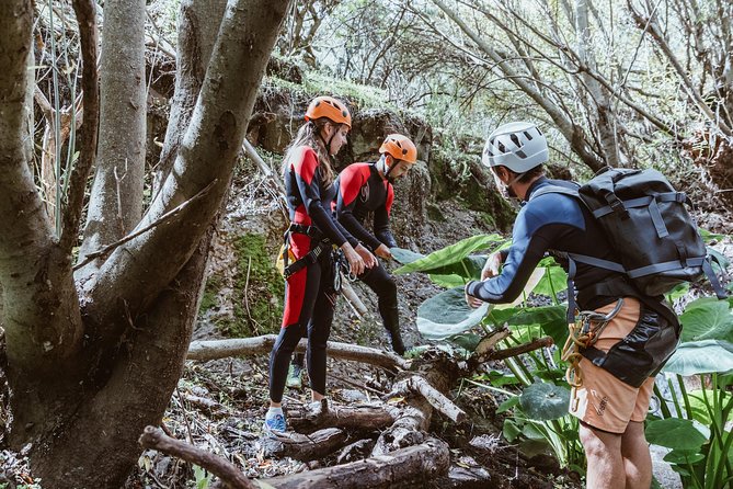Canyoning With Waterfalls in the Rainforest - Small Groups - Cancellation Policy