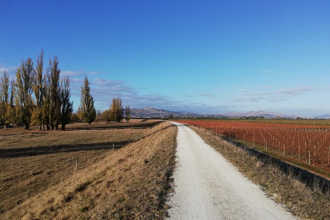 Cape Coast Wineries Self-Guided Scenic Bike Tour From Napier - Meeting Point and Accessibility
