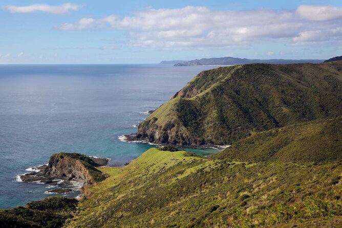 Cape Reinga Half-Day Tour Including Scenic Flight - Booking Information