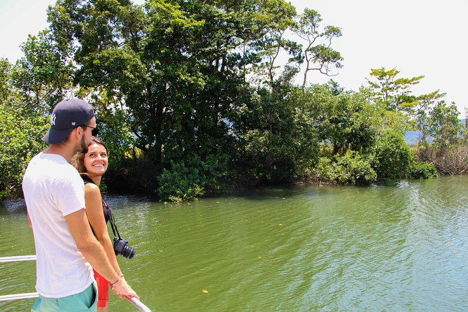 Cape Tribulation & Daintree Wilderness (TCT) - Customer Reviews and Feedback