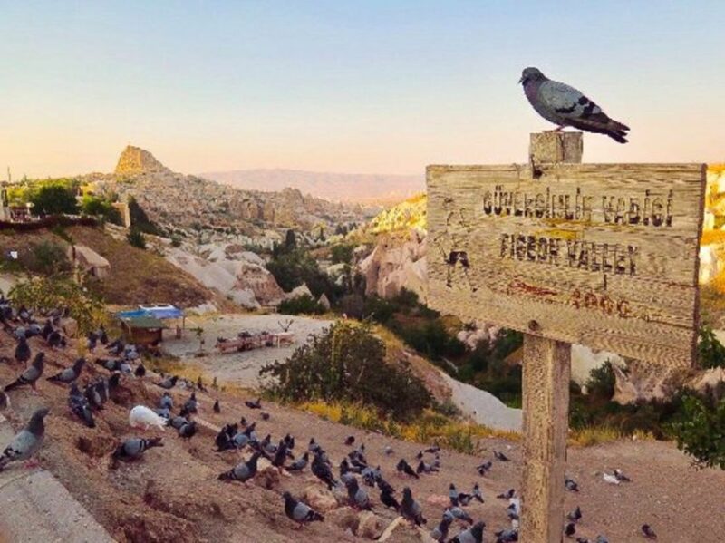 Cappadocia: All-In-One Private Day Trip - Customer Reviews and Ratings