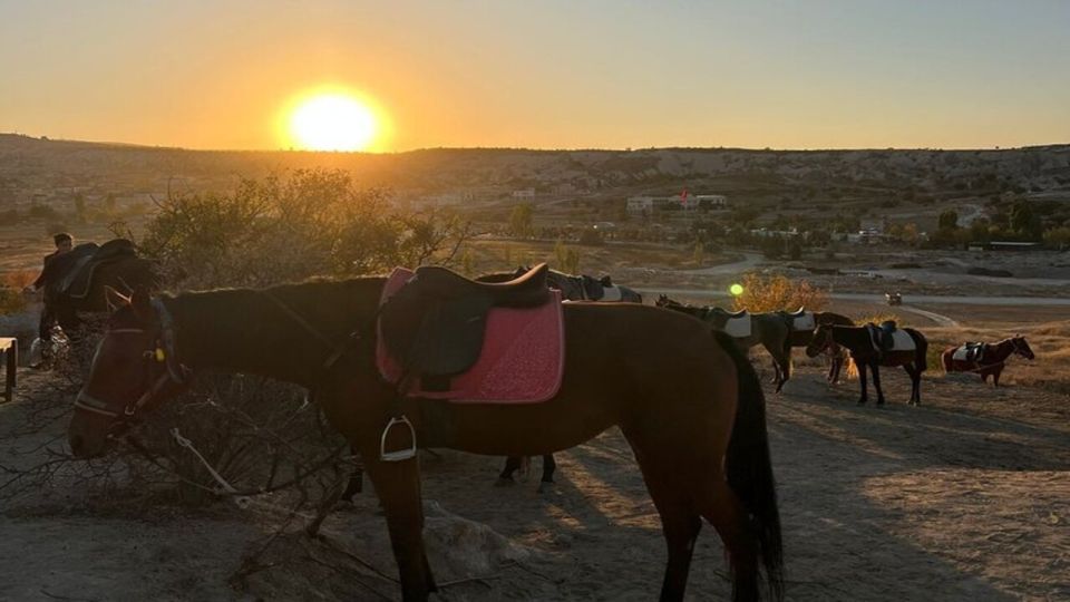 Cappadocia Horseback Riding Tour - Participant Requirements