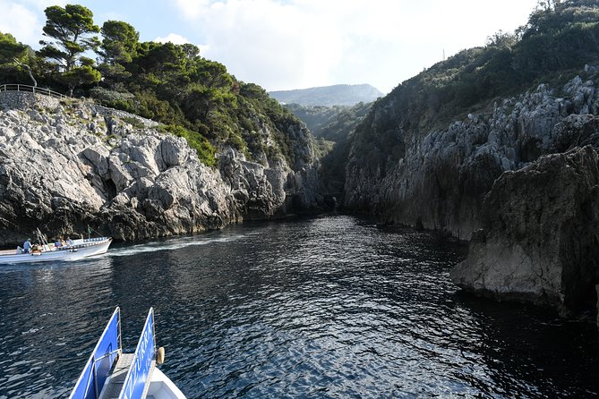 Capri One Day – Visit the Island by Sea and Land With Blue Grotto - Tour Details