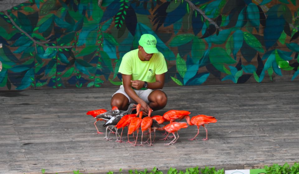 Cartagena: National Aviary of Colombia Entrance Tickets - Transportation to the Aviary