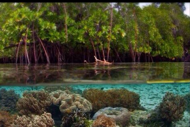 Cas Cay - Kayak Hike and Snorkel Adventure - Booking and Confirmation Details