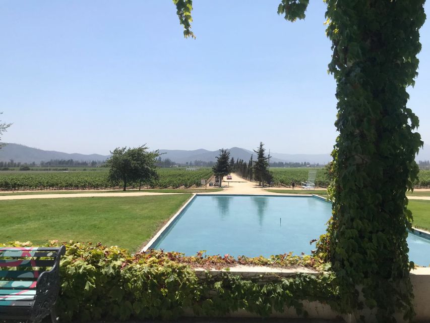 Casablanca Valley Wine Experience - Transportation Options