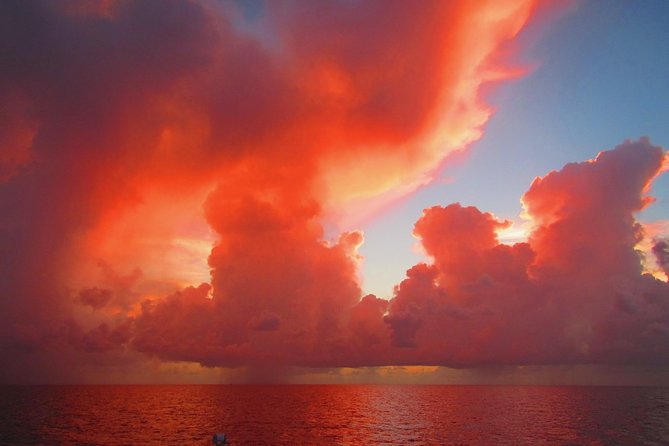 Castaway the Day: Miami Sunset Sail With Champagne - Customer Reviews and Feedback