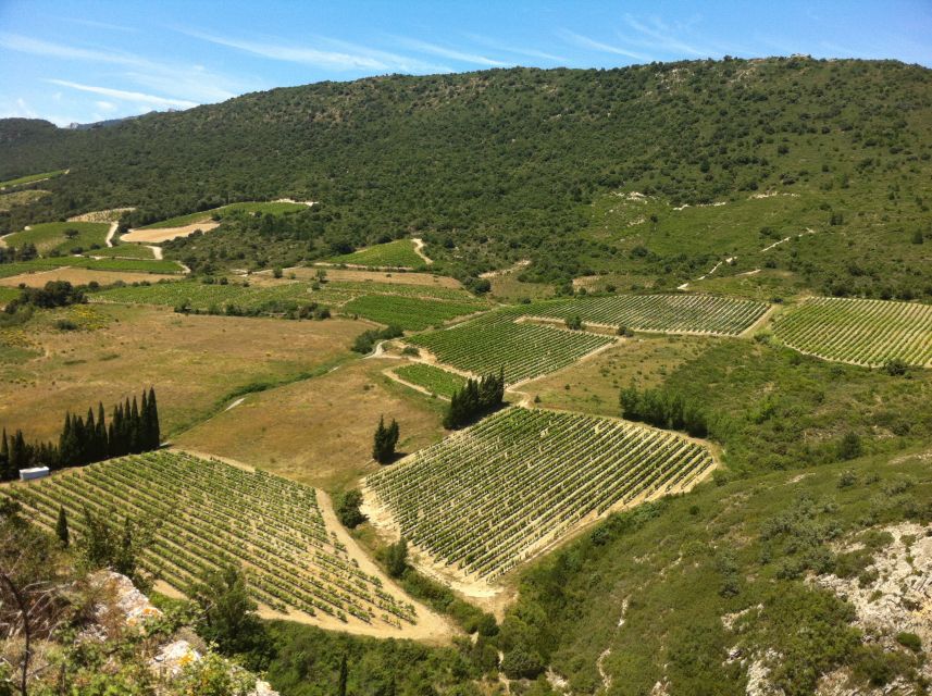 Cathar Castles: Quéribus and Peyrepertuse - Participant Guidelines and Considerations