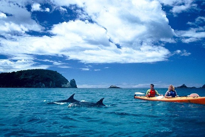 Cathedral Cove Kayak Tour - Tips for Travelers