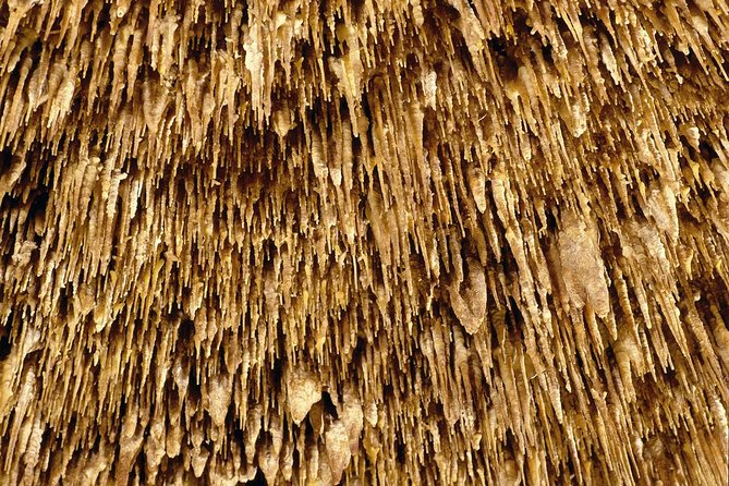 Caves of Drach Half-Day Tour With Boat Trip and Music Concert - Tour Features and Highlights