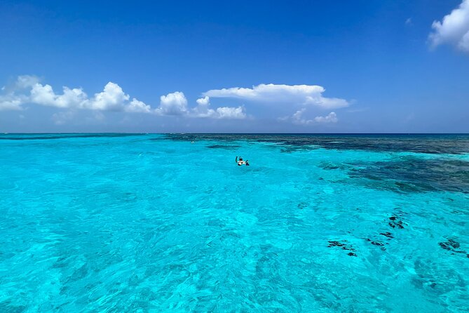 Cayman Private Luxury Charters - Stingray City, Snorkel, & More - Highlights of the Tour