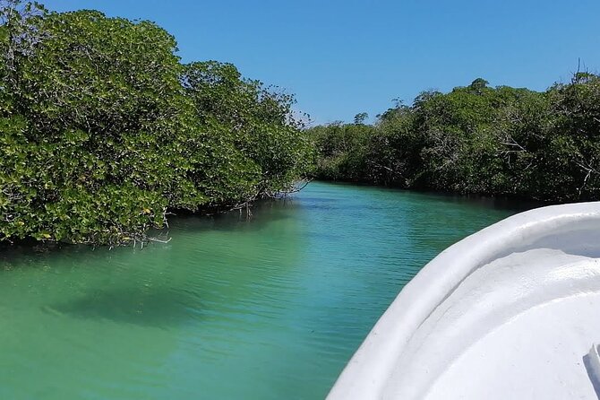 Cayo Arena, Paradise Island Tour - Accessibility Information
