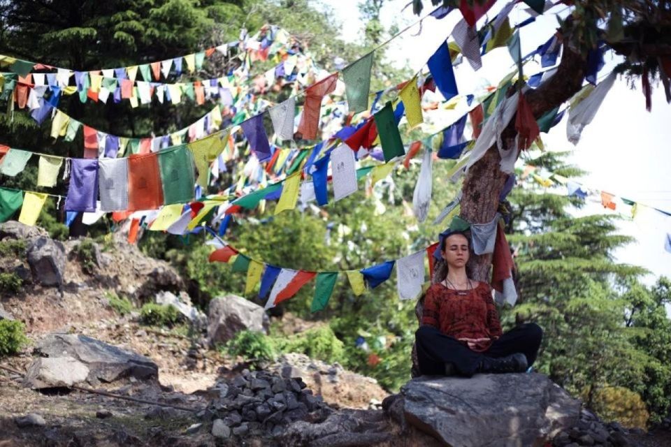 Celebrate the Birthday of Buddha in Budhha Jayanti - Visitor Tips