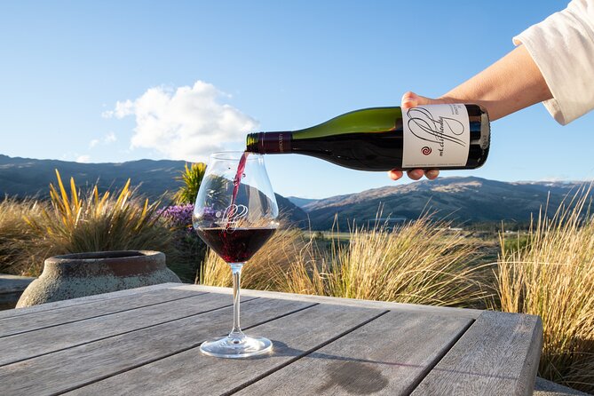 Central Otago Wine Tour From Queenstown Including Lunch - Accessibility Information