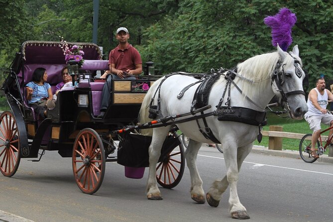 Central Park and NYC Horse Carriage Ride OFFICIAL ( ELITE Private) Since 1970™ - Pricing and Payment Options