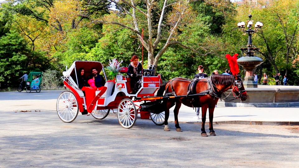 Central Park: Short Horse Carriage Ride (Up to 4 Adults) - Park History From Licensed Guide